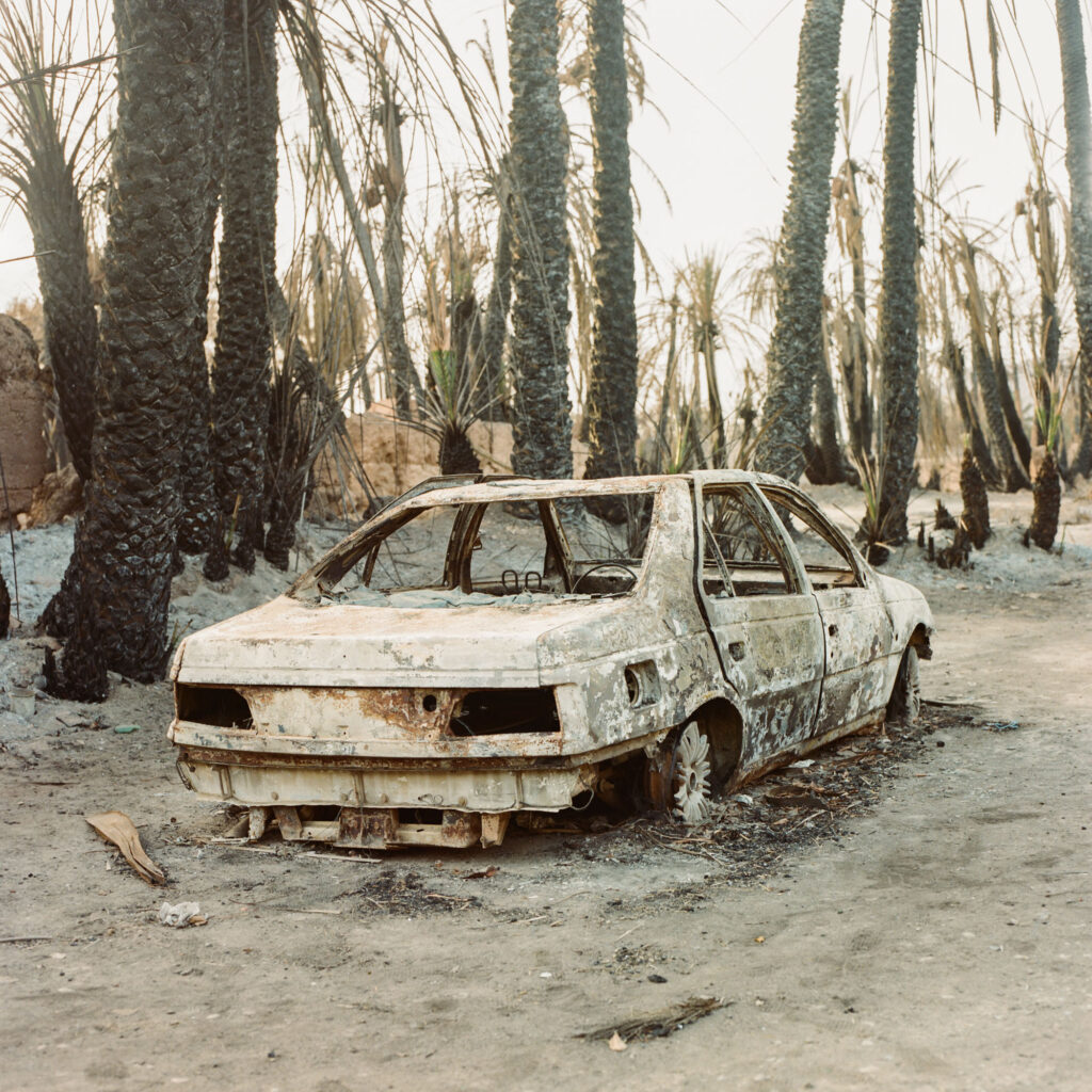 A burned car abandoned in an oasis facing desertification