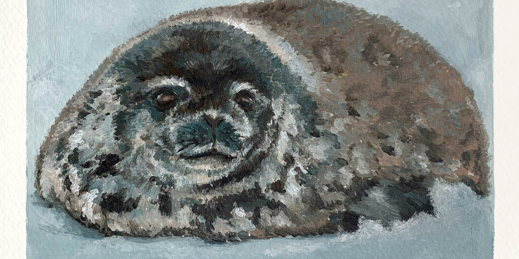 Newspaper-style obituary for a ringed seal pup called Sloppy.