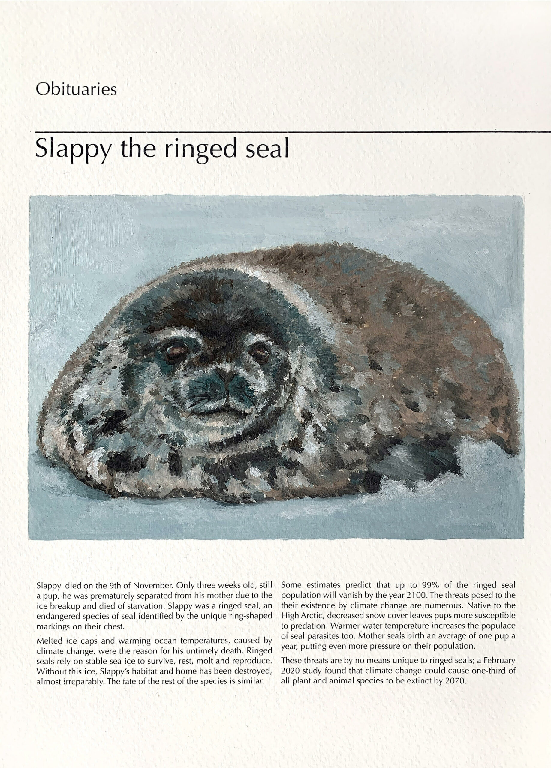 Newspaper-style obituary for a ringed seal pup called Sloppy.